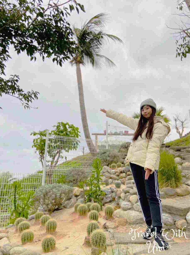 花蓮景點 海崖谷 仙人掌