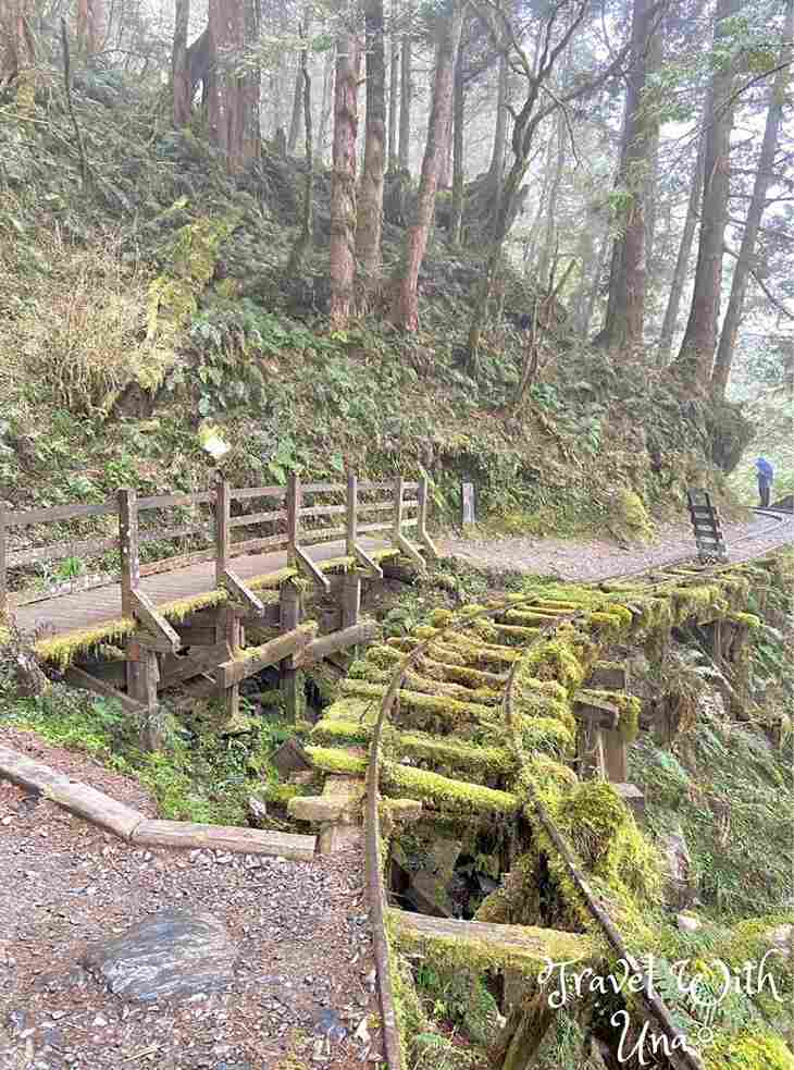 宜蘭太平山 見晴懷古步道