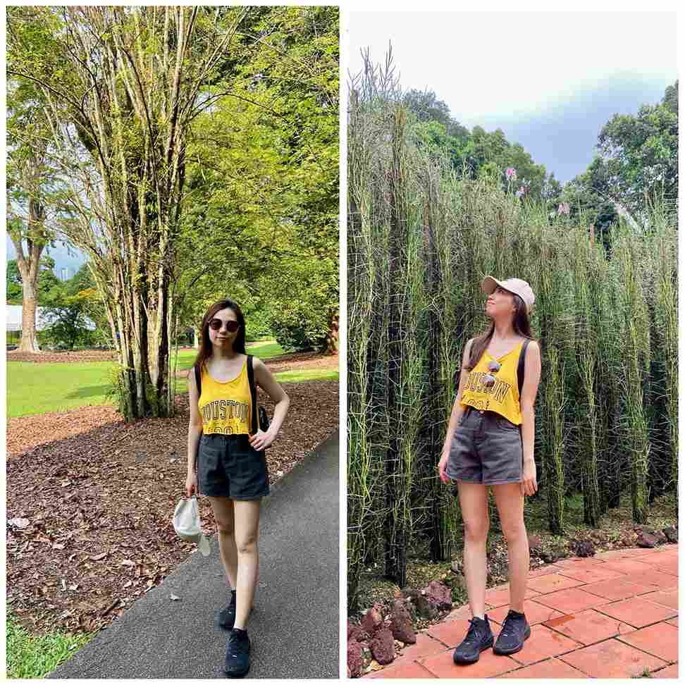 新加坡植物園 Singapore Botanic Gardens